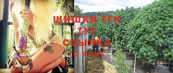 гидропоника Белокуриха