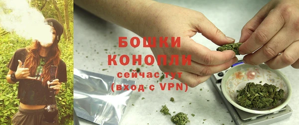 гидропоника Белокуриха