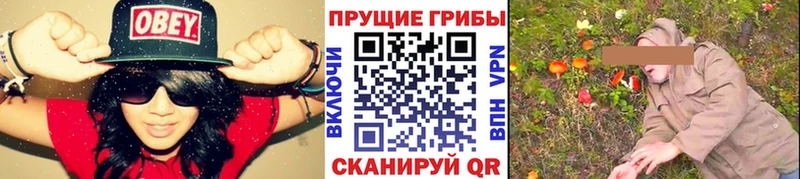наркотики  Кологрив  Псилоцибиновые грибы ЛСД 